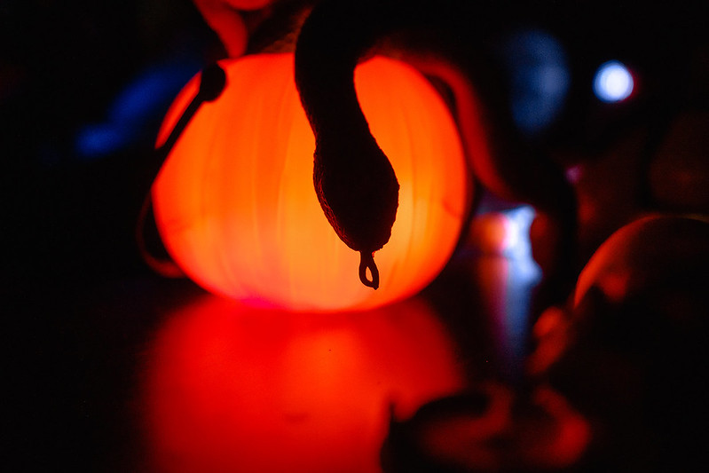 Украшение дома паутиной и летучими мышами к Хэллоуину в Vladivostok